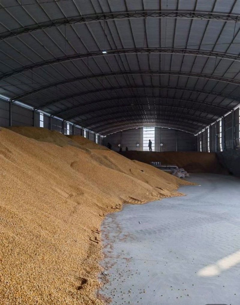 粮油市场风云:走进信阳生鲜市场的粮油批发盛宴